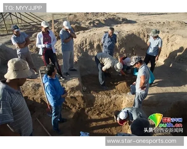 西安飞盘队的成功运营模式与发展策略全解析实时数据