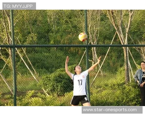 运动最新数据陈丽亲授排球技巧与心得体会助你提升球技的独特方法分享